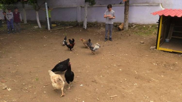 BAŞARI ATÖLYELERLE ARTTI