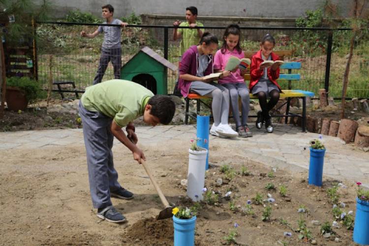 TRT WORLD - This is 'Flower Book Stop'