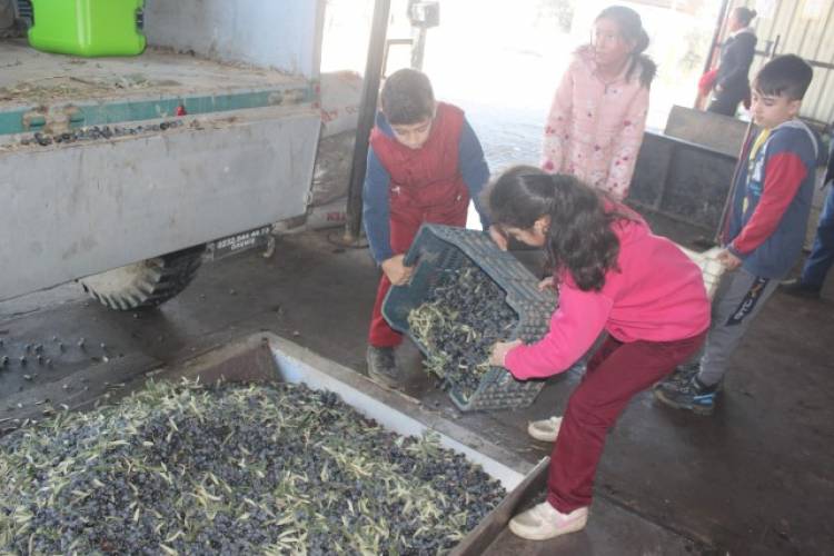 YİNE YENİDEN GÜZEL BİR PROJE İLE ULUSAL MEDYADAYIZ.